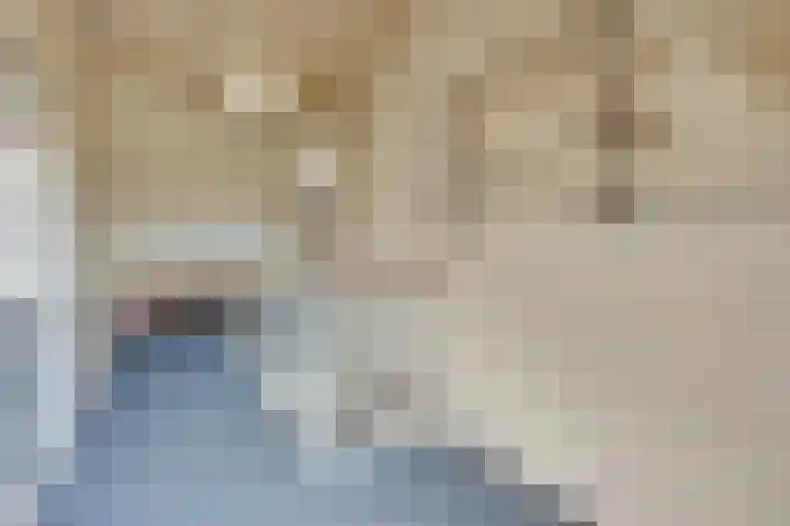 Barmsijs 35 Nieuwegein thumbnail 55