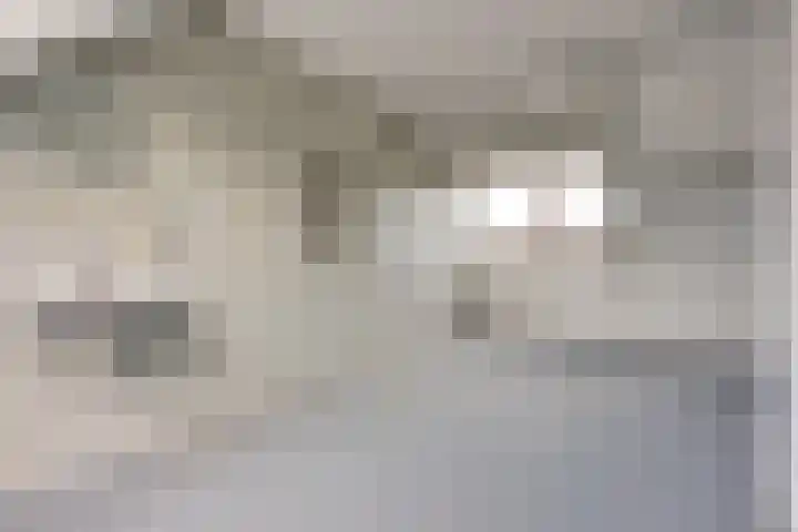 Barmsijs 35 Nieuwegein thumbnail 56