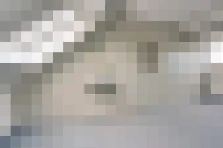 Barmsijs 35 Nieuwegein thumbnail 58