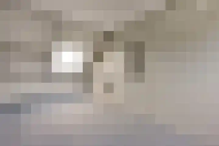 Barmsijs 35 Nieuwegein thumbnail 59