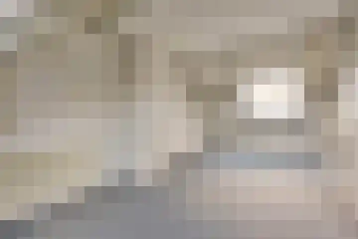 Barmsijs 35 Nieuwegein thumbnail 60