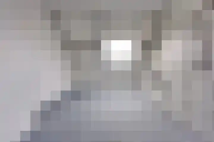 Barmsijs 35 Nieuwegein thumbnail 62