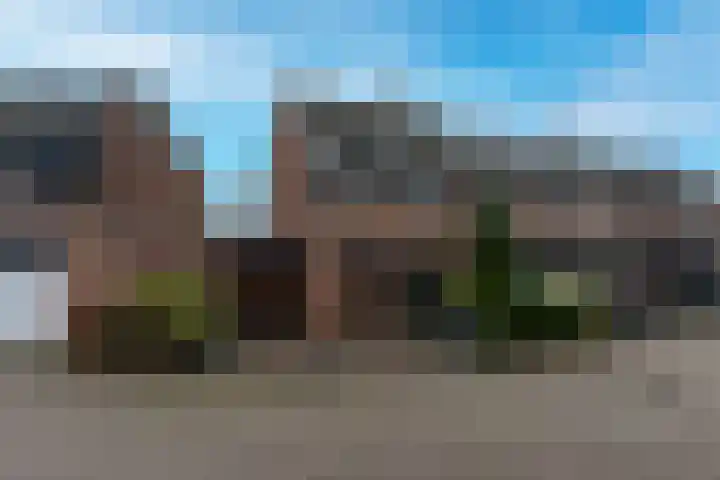 Barmsijs 35 Nieuwegein thumbnail 63