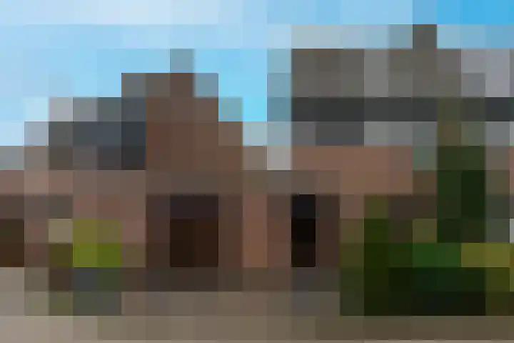Barmsijs 35 Nieuwegein thumbnail 64