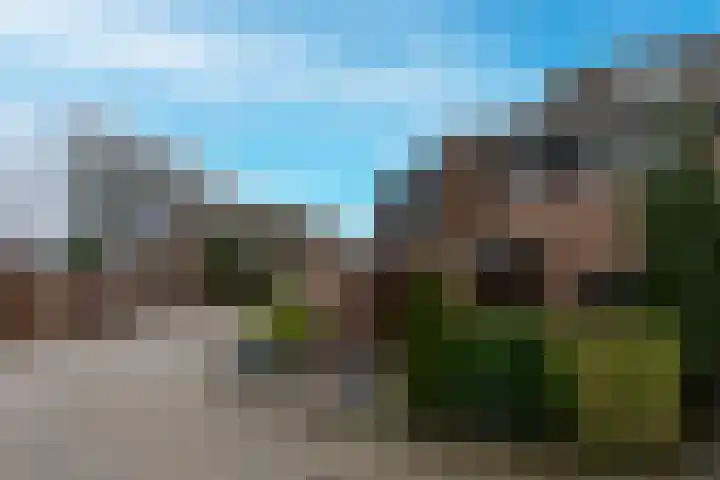 Barmsijs 35 Nieuwegein thumbnail 65