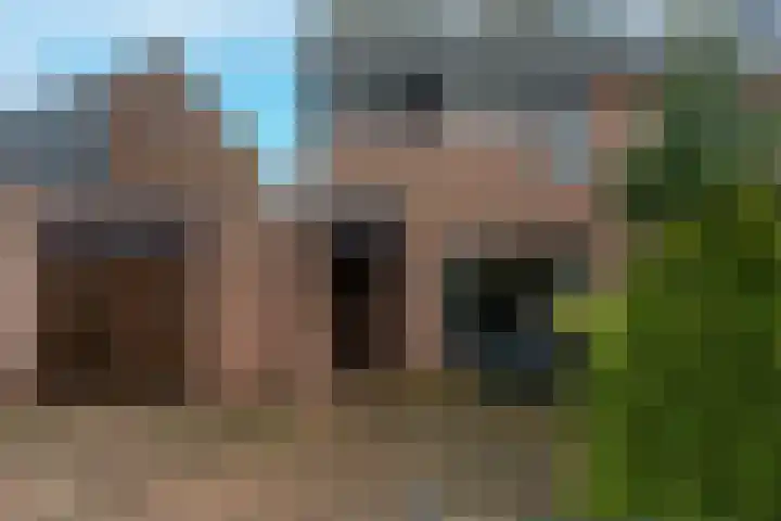 Barmsijs 35 Nieuwegein thumbnail 66