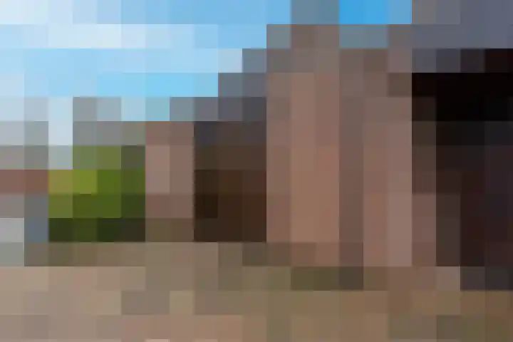 Barmsijs 35 Nieuwegein thumbnail 67