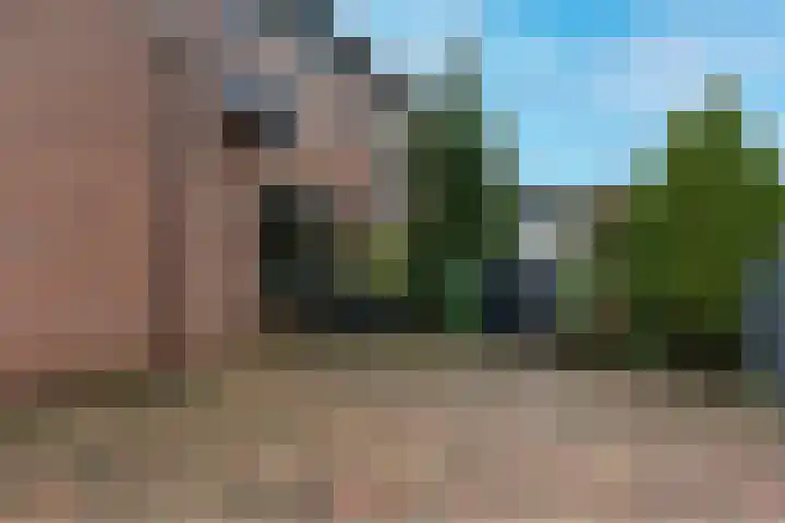 Barmsijs 35 Nieuwegein thumbnail 69