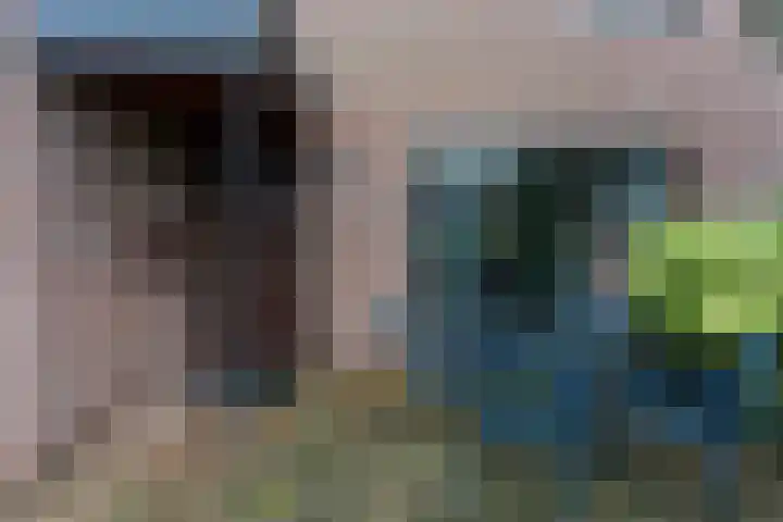 Barmsijs 35 Nieuwegein thumbnail 71