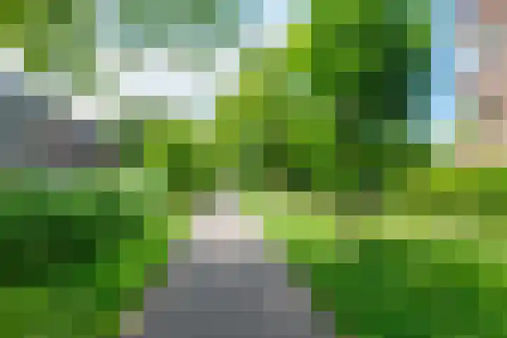 Barmsijs 36 Nieuwegein thumbnail 100