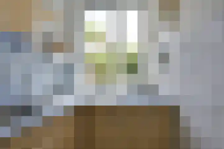 Barmsijs 36 Nieuwegein thumbnail 16