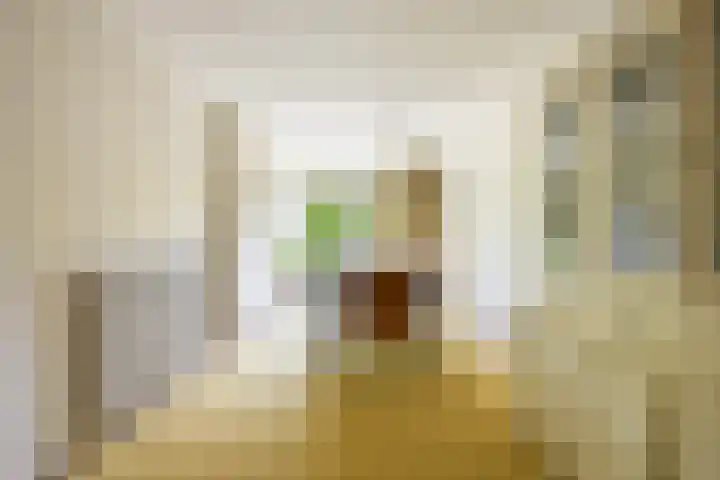 Barmsijs 36 Nieuwegein thumbnail 22