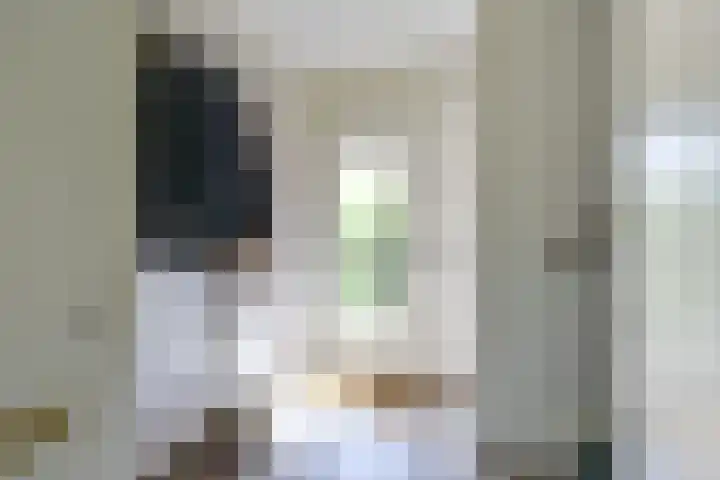 Barmsijs 36 Nieuwegein thumbnail 30