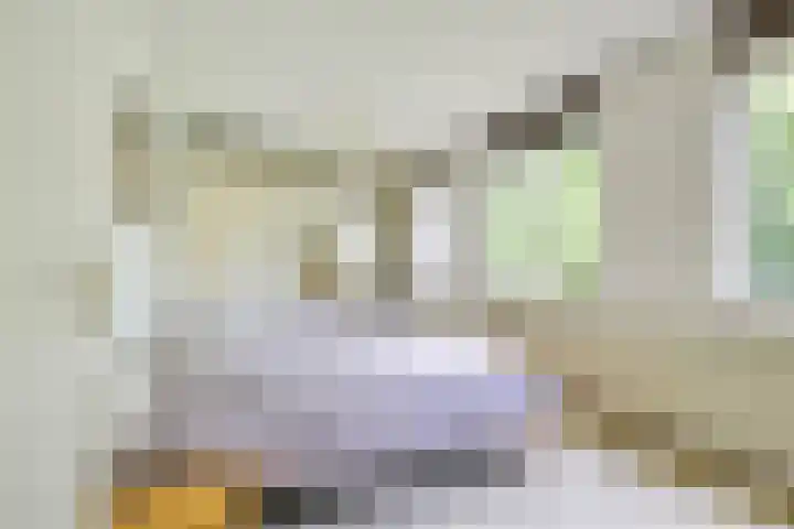Barmsijs 36 Nieuwegein thumbnail 31