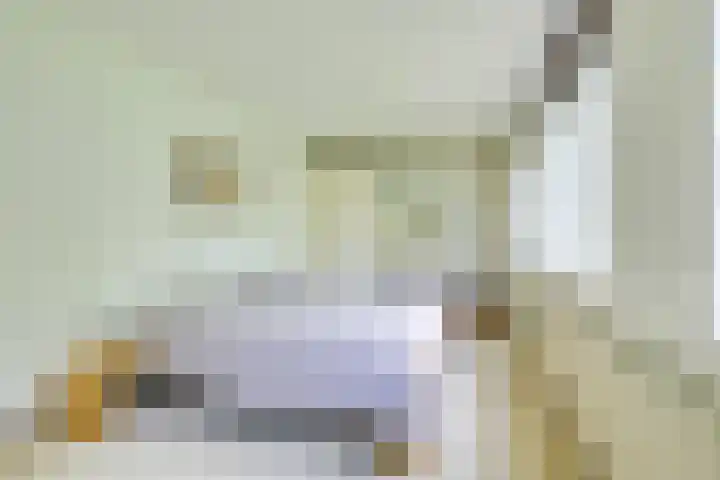 Barmsijs 36 Nieuwegein thumbnail 32
