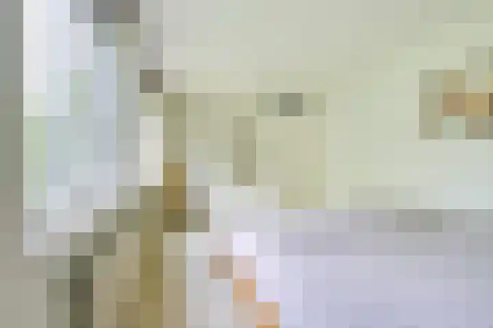 Barmsijs 36 Nieuwegein thumbnail 33