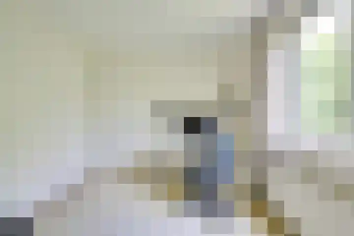 Barmsijs 36 Nieuwegein thumbnail 39