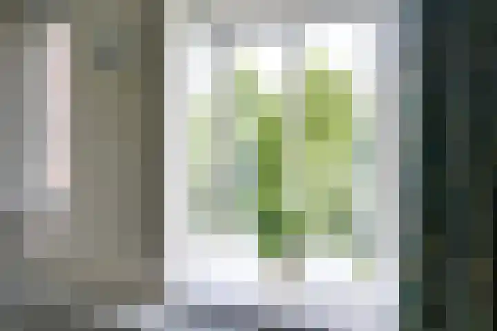 Barmsijs 36 Nieuwegein thumbnail 46