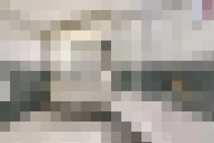 Barmsijs 36 Nieuwegein thumbnail 48