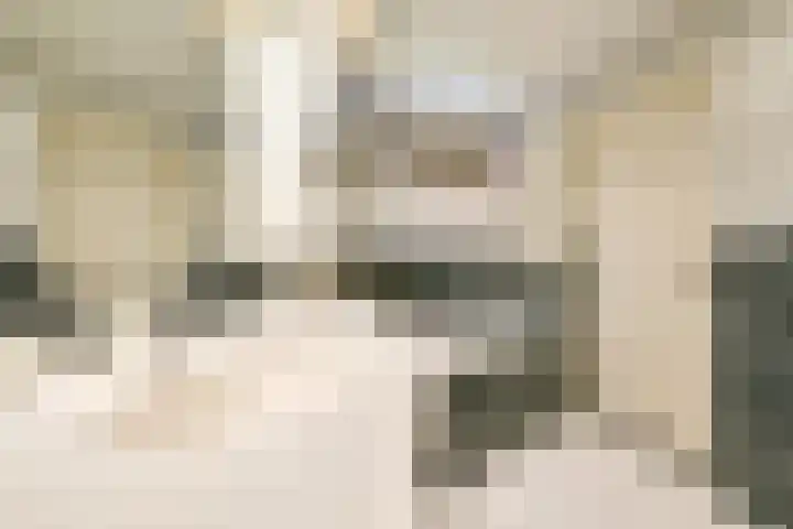 Barmsijs 36 Nieuwegein thumbnail 51
