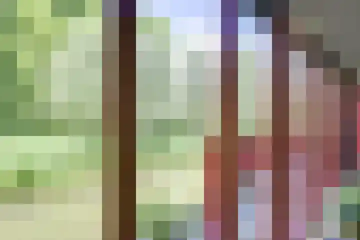 Barmsijs 36 Nieuwegein thumbnail 65
