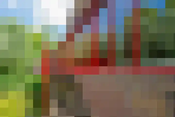 Barmsijs 36 Nieuwegein thumbnail 67