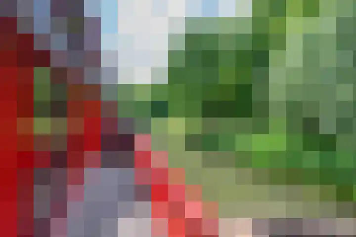 Barmsijs 36 Nieuwegein thumbnail 68