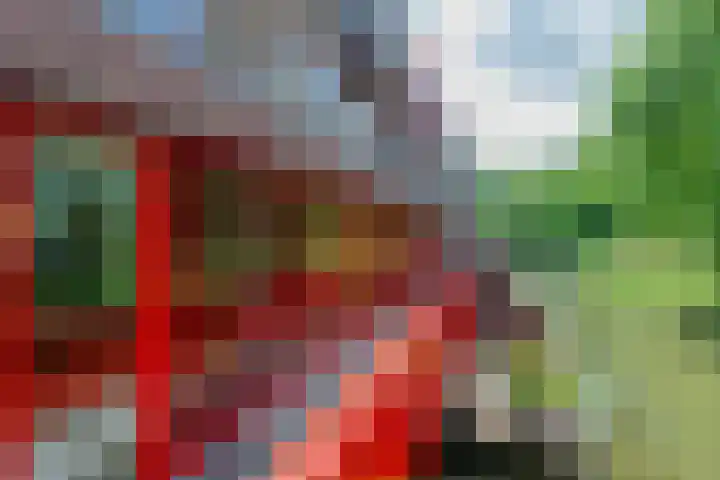 Barmsijs 36 Nieuwegein thumbnail 69