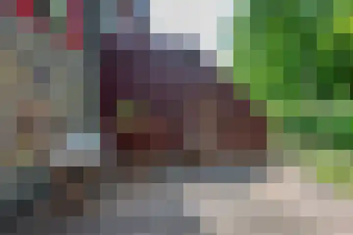 Barmsijs 36 Nieuwegein thumbnail 70