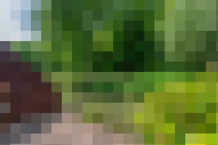 Barmsijs 36 Nieuwegein thumbnail 71