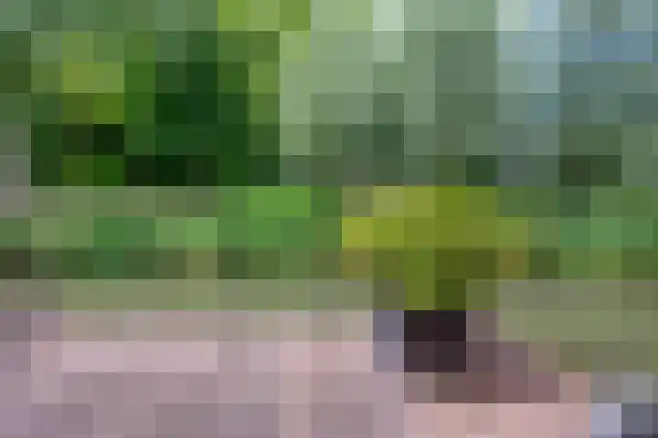 Barmsijs 36 Nieuwegein thumbnail 72