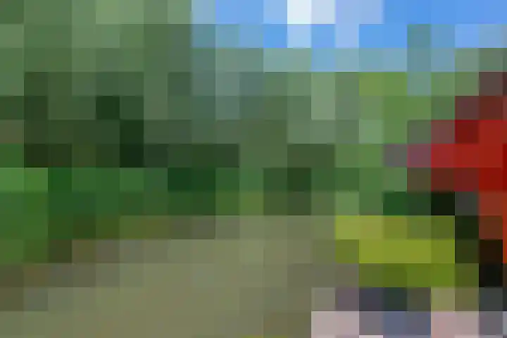 Barmsijs 36 Nieuwegein thumbnail 73