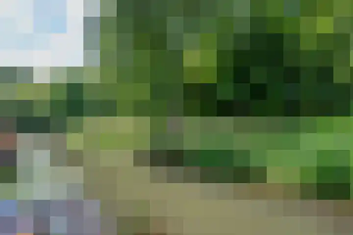 Barmsijs 36 Nieuwegein thumbnail 74