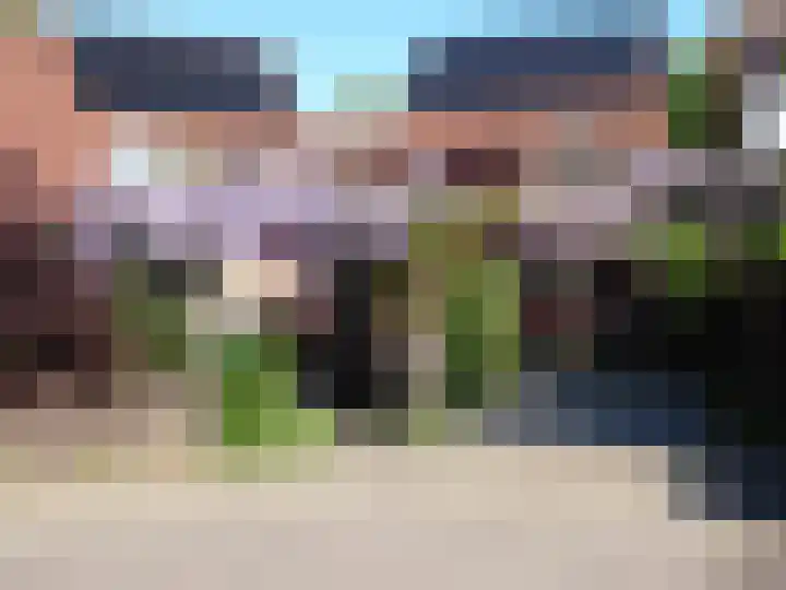 Barmsijs 36 Nieuwegein thumbnail 75
