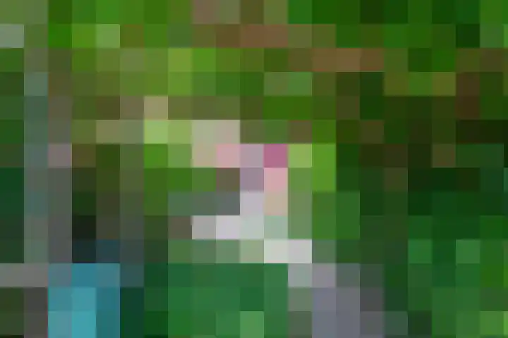 Barmsijs 36 Nieuwegein thumbnail 76