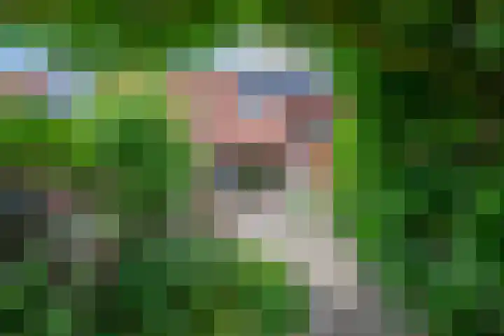 Barmsijs 36 Nieuwegein thumbnail 77