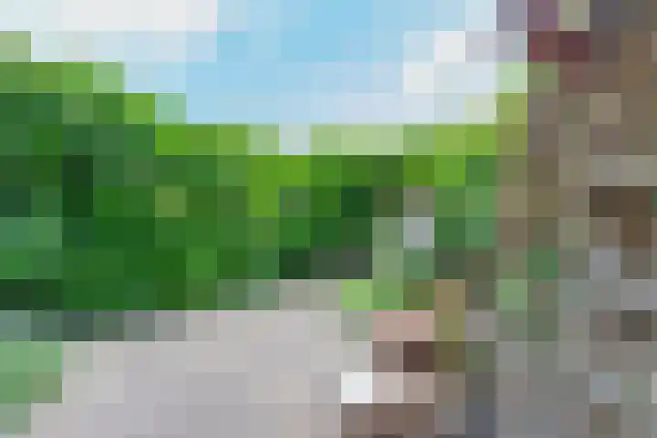 Barmsijs 36 Nieuwegein thumbnail 78