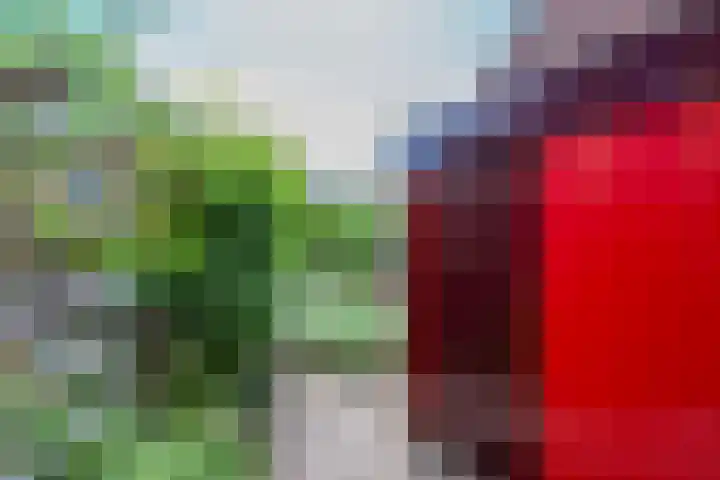 Barmsijs 36 Nieuwegein thumbnail 80