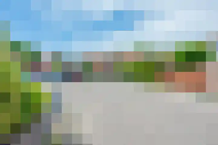 Barmsijs 36 Nieuwegein thumbnail 81