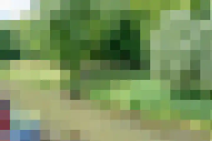 Barmsijs 36 Nieuwegein thumbnail 82