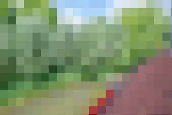 Barmsijs 36 Nieuwegein thumbnail 83