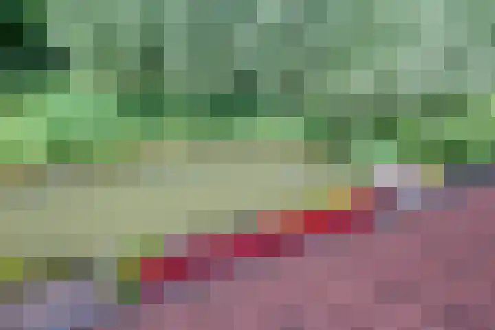 Barmsijs 36 Nieuwegein thumbnail 84
