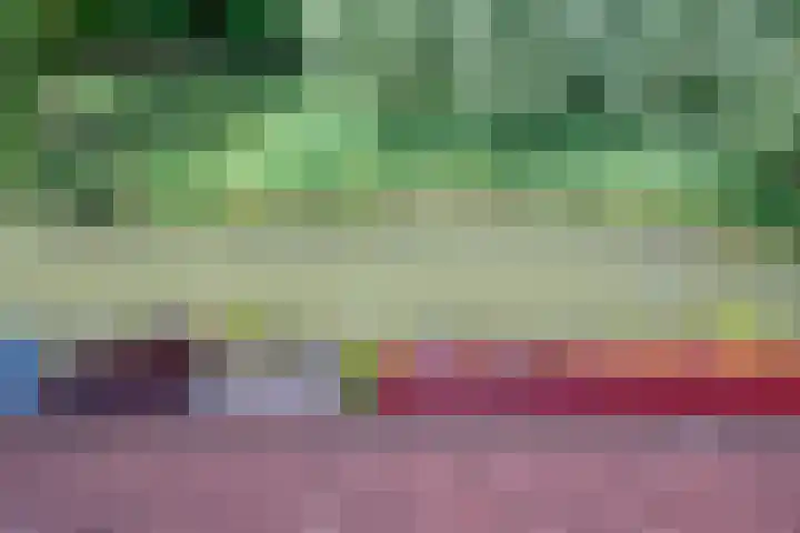 Barmsijs 36 Nieuwegein thumbnail 85