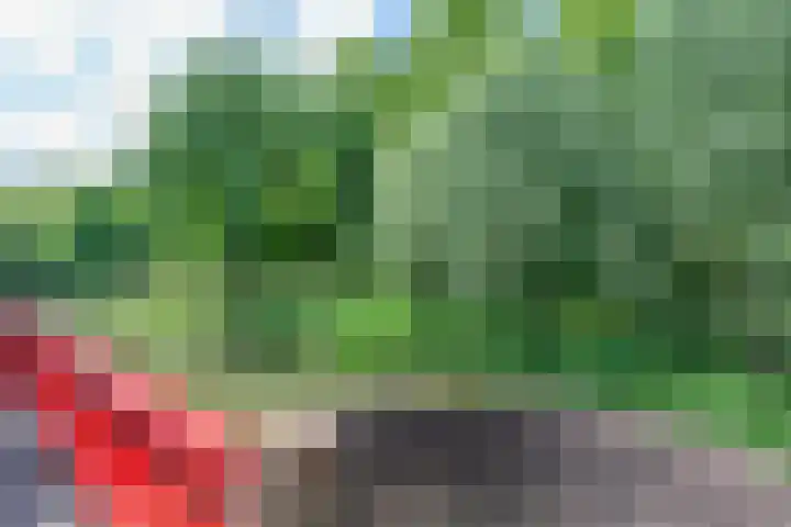 Barmsijs 36 Nieuwegein thumbnail 86