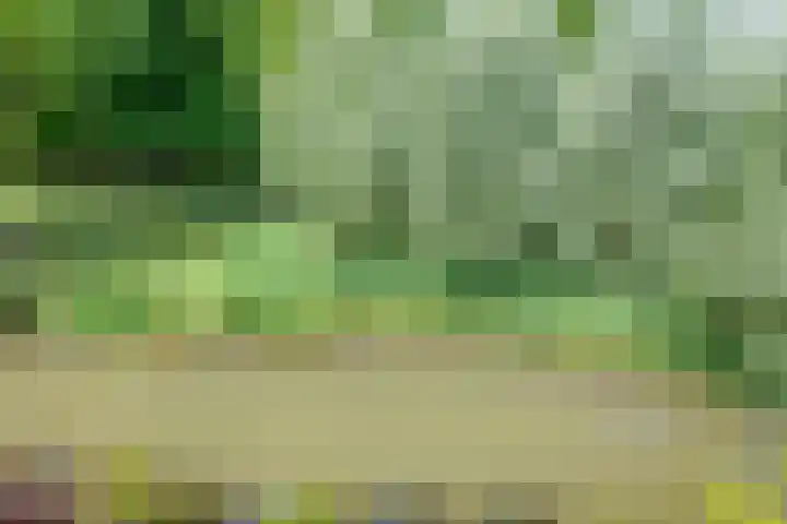 Barmsijs 36 Nieuwegein thumbnail 87