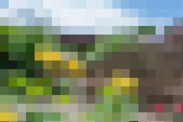Barmsijs 36 Nieuwegein thumbnail 88
