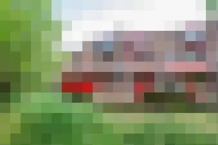 Barmsijs 36 Nieuwegein thumbnail 91