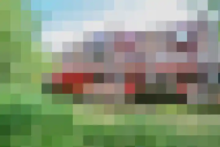 Barmsijs 36 Nieuwegein thumbnail 92