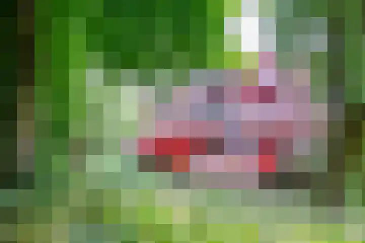 Barmsijs 36 Nieuwegein thumbnail 93