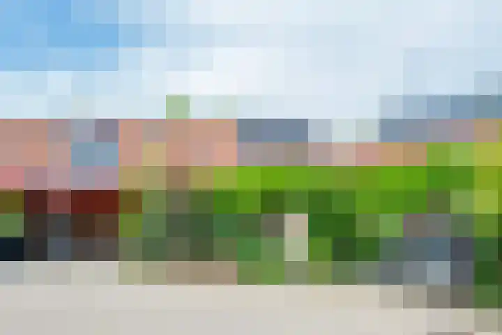 Barmsijs 36 Nieuwegein thumbnail 98